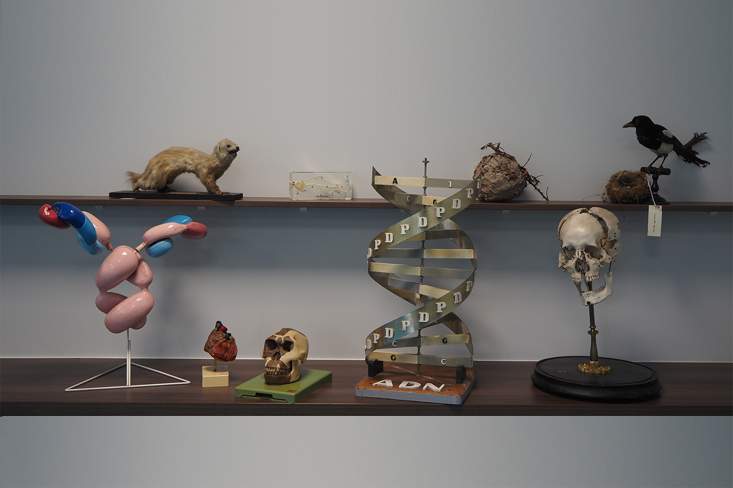 vig. patrimoine scientifique