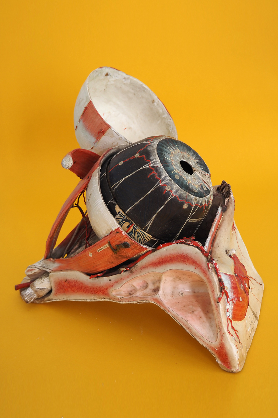 photo oeil 4